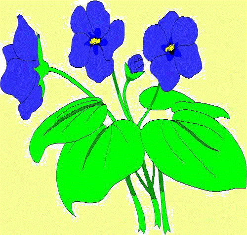 Blumen blau 1x